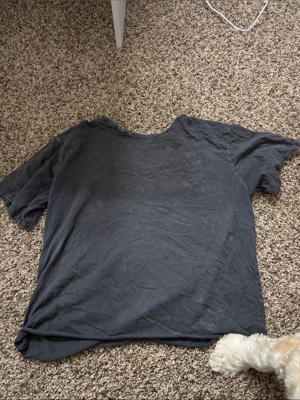 Classic Women's grey croppedTee
